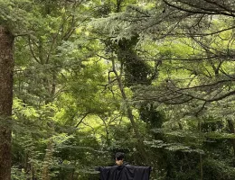 ブラインドスチール写真