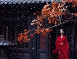 墨雨雲間～美しき復讐～スチール写真