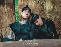 夜に咲く花スチール写真