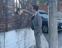 クリーニングアップスチール写真