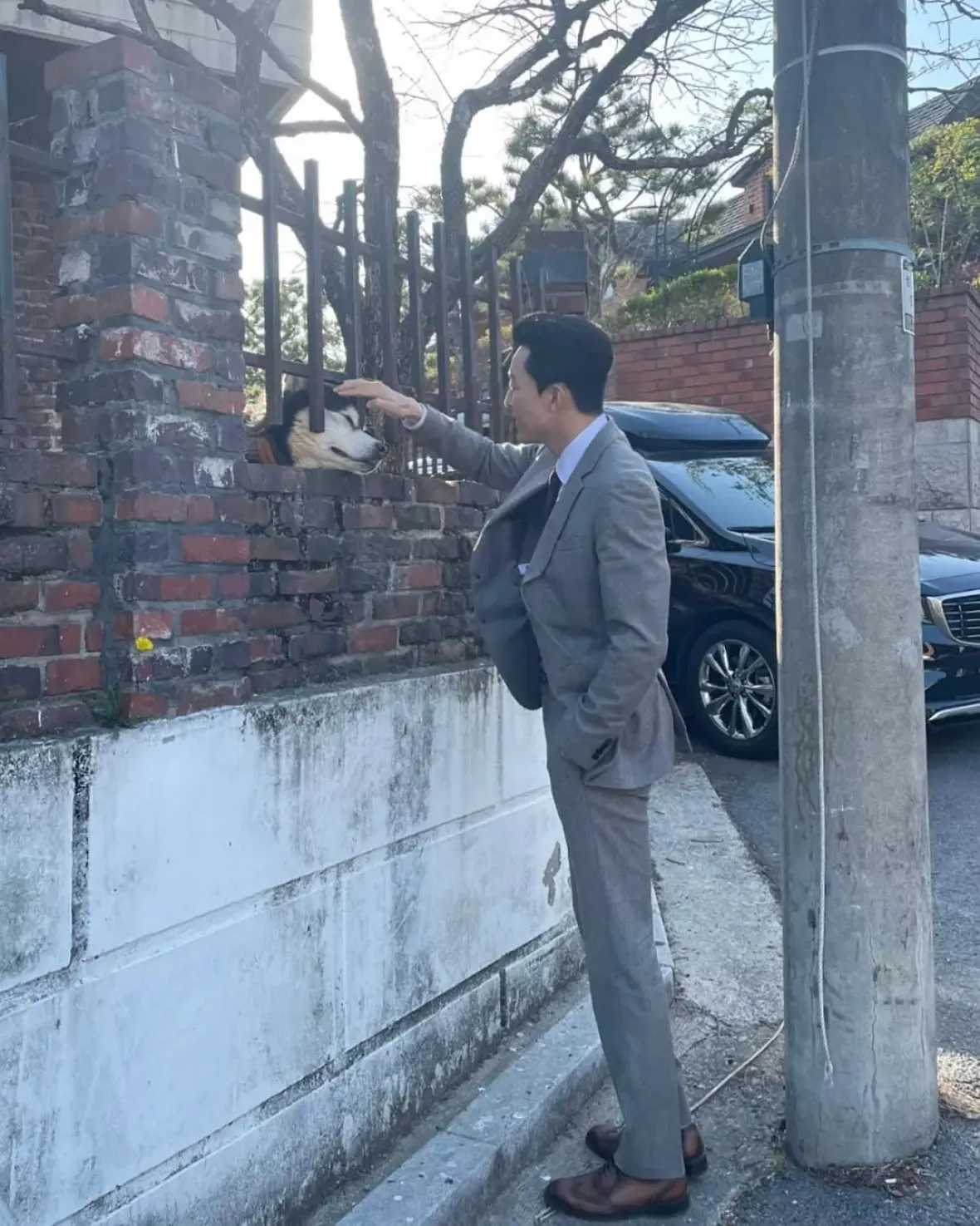 クリーニングアップスチール写真