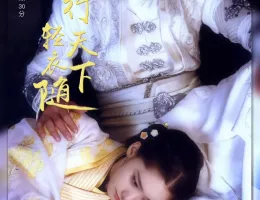 三国志～趙雲伝～ポスター