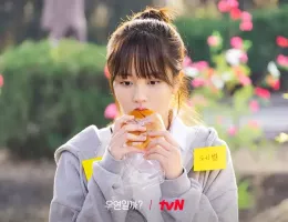 偶然かな。スチール写真