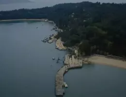 新生