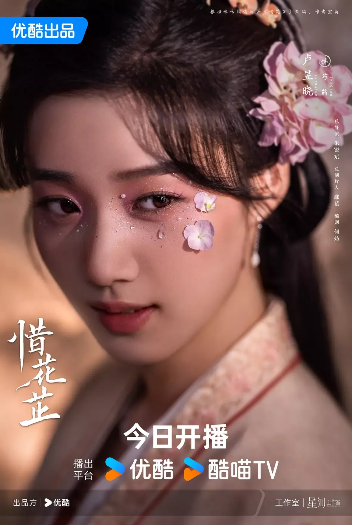 惜花芷～星が照らす道～ポスター