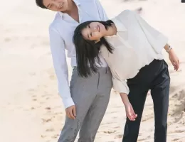 無法弁護士～最高のパートナー
