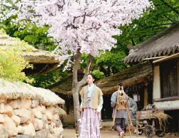 花が咲けば、月を想いスチール写真