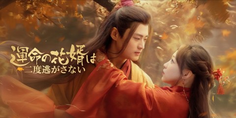 運命の花婿は二度逃がさない