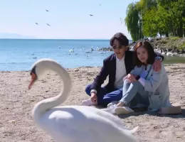 私のキライな翻訳官スチール写真