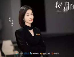 彼女は無敵な翻訳官