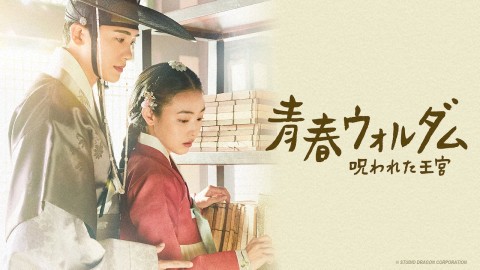 朝鮮弁護士カン・ハンス～誓いの法典～