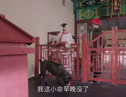 溥儀の料理番スチール写真