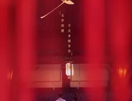 輝ける宝珠の如くポスター