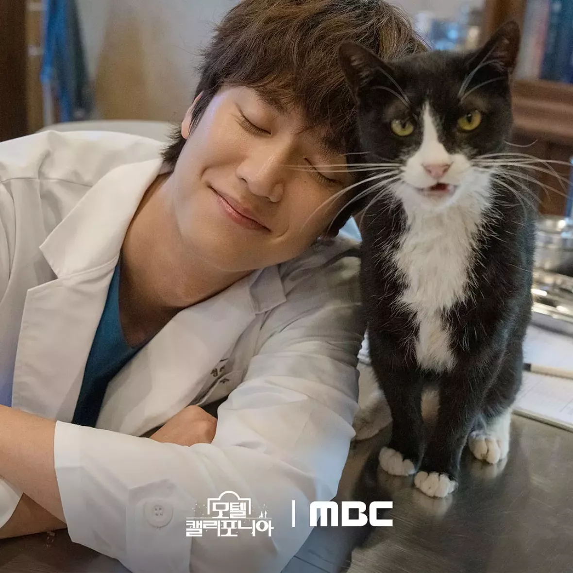 モーテル・カリフォルニアスチール写真