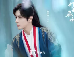 幻楽森林スチール写真