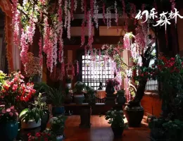 幻楽森林スチール写真