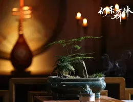 幻楽森林スチール写真