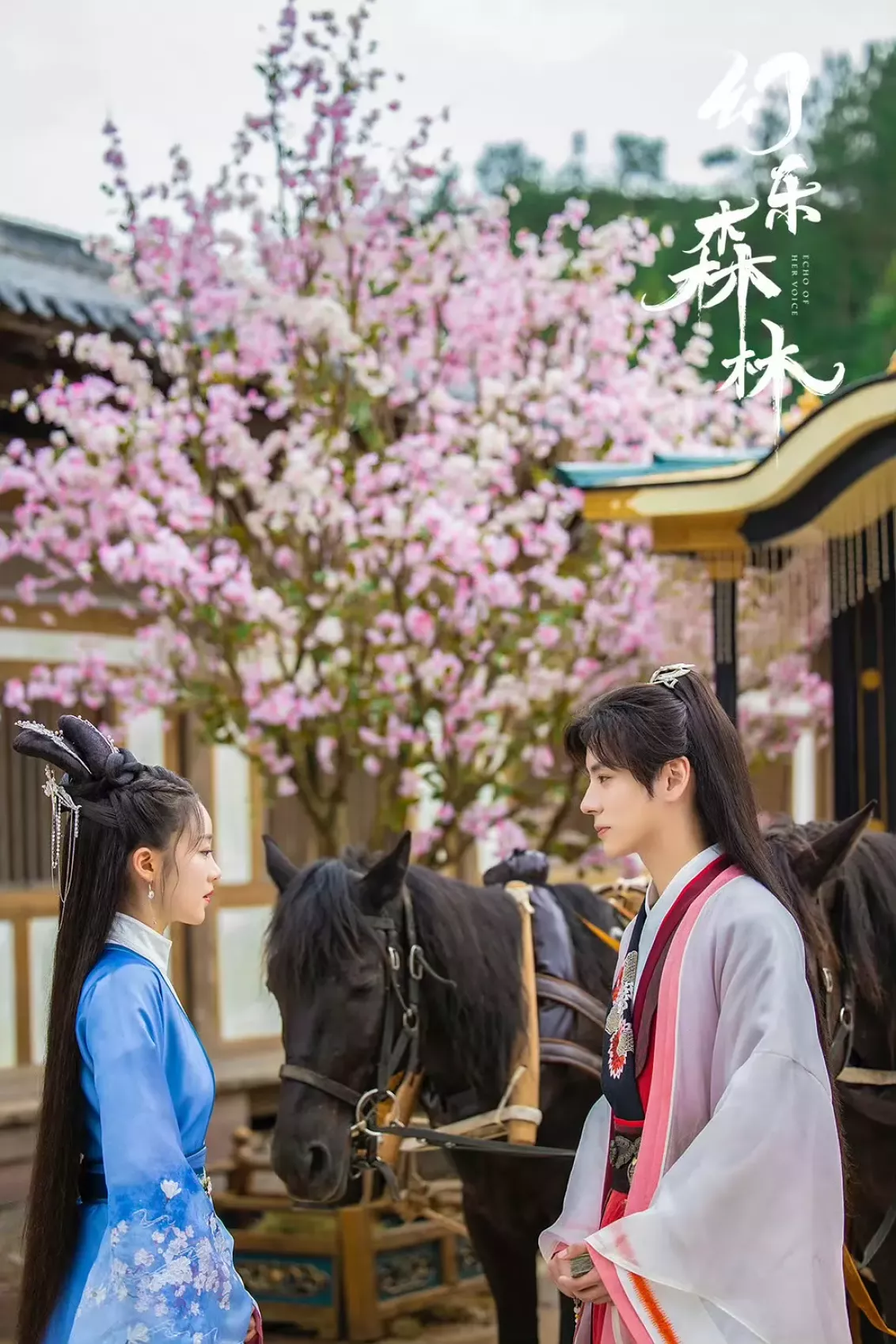 幻楽森林スチール写真