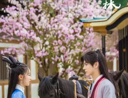 幻楽森林スチール写真