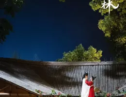 幻楽森林スチール写真