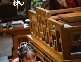 幻楽森林スチール写真