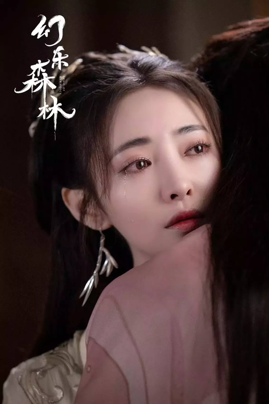 幻楽森林スチール写真