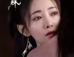 幻楽森林スチール写真