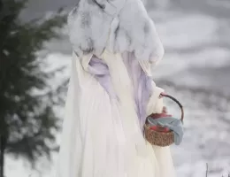 七夜雪（しちやせつ）スチール写真