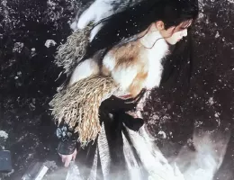 七夜雪（しちやせつ）スチール写真
