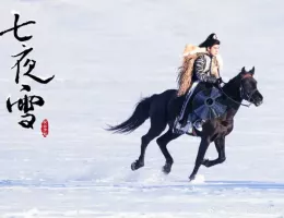 七夜雪（しちやせつ）スチール写真