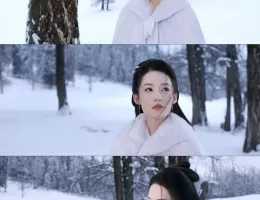 七夜雪（しちやせつ）