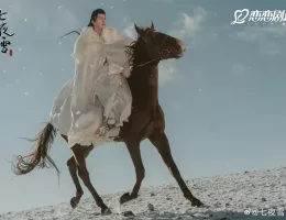 七夜雪（しちやせつ）スチール写真