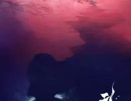 無憂渡～瞳に映った真実の愛～ポスター