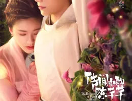 花の都に虎（とら）われて～The Romance of Tiger and Rose～ポスター