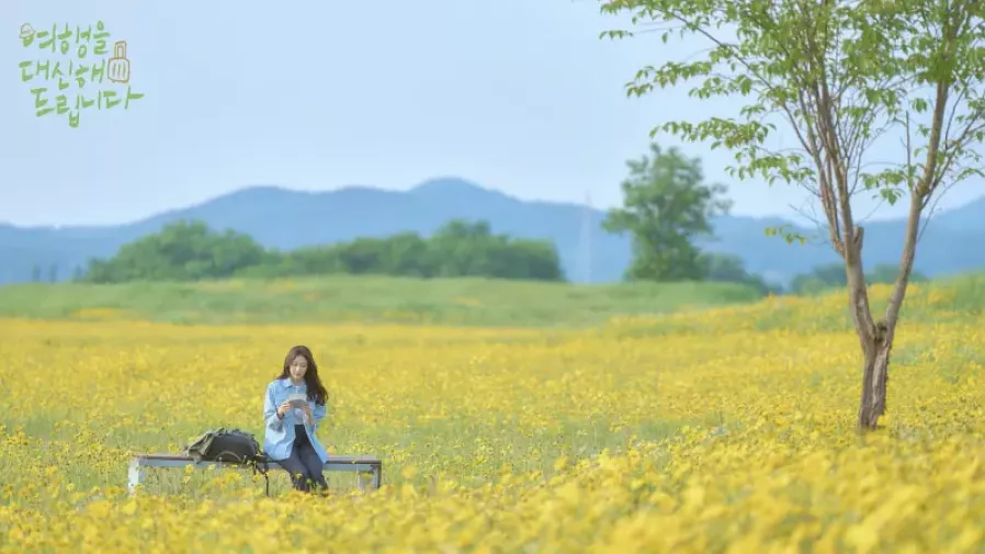 あなたの旅、代行しますスチール写真