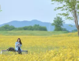 あなたの旅、代行しますスチール写真
